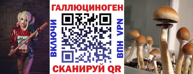 Псилоцибиновые грибы MAGIC MUSHROOMS Железногорск